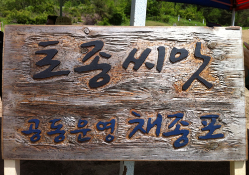 기사 관련 사진