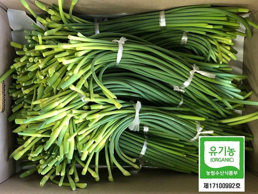 이미지 상세보기