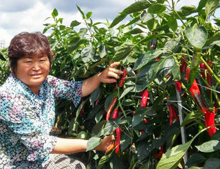 이미지 상세보기