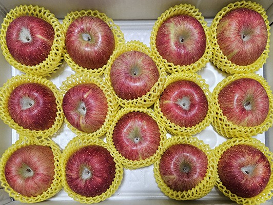 이미지 상세보기