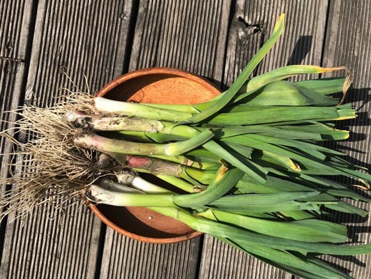 이미지 상세보기