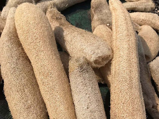 이미지 상세보기