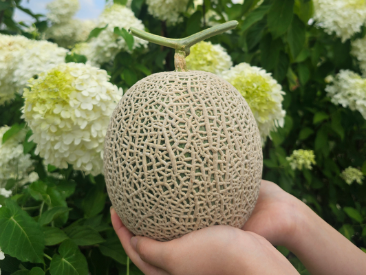이미지 상세보기