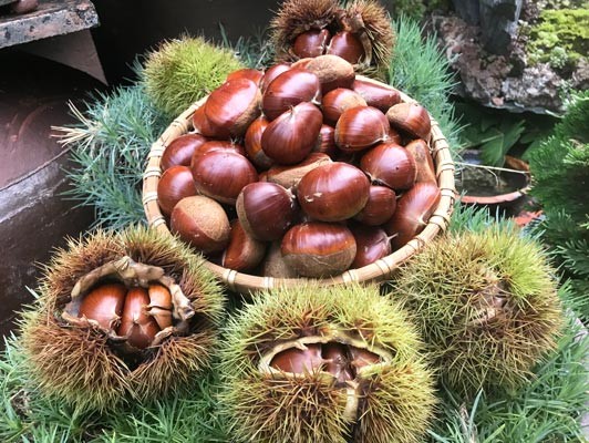 이미지 상세보기