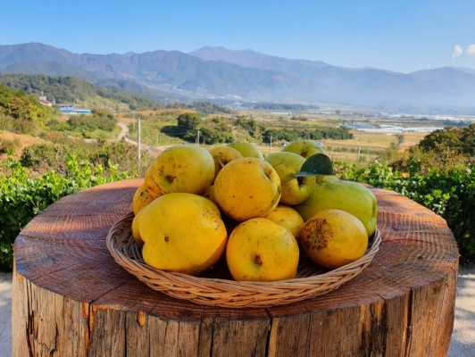 이미지 상세보기