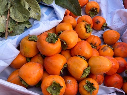 이미지 상세보기