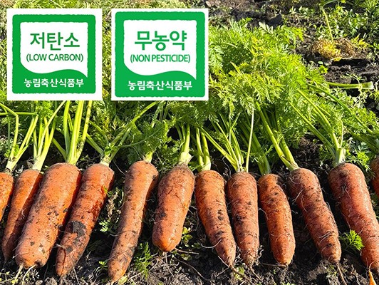 이미지 상세보기