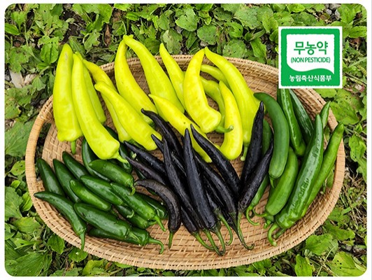 이미지 상세보기