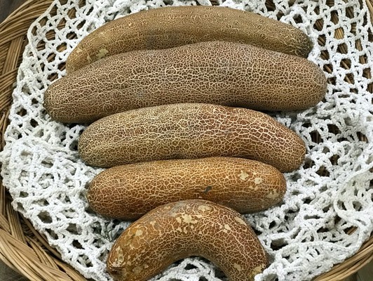 이미지 상세보기