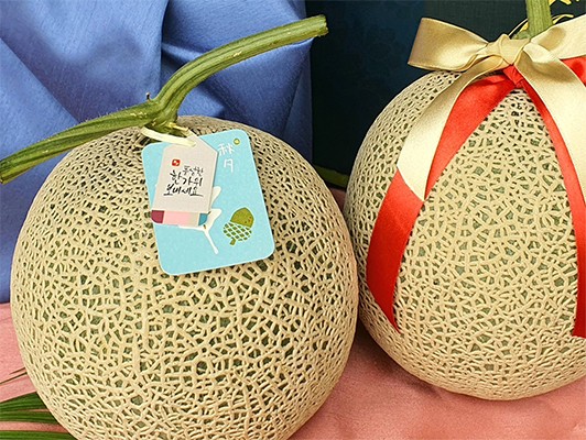 이미지 상세보기