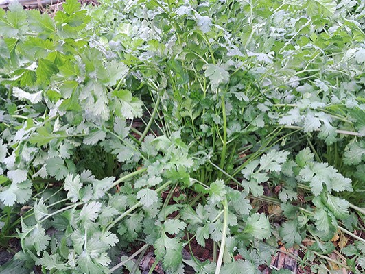 이미지 상세보기