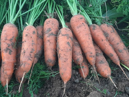 이미지 상세보기