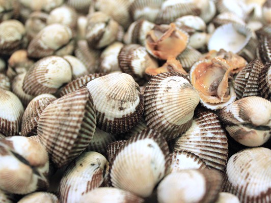 이미지 상세보기