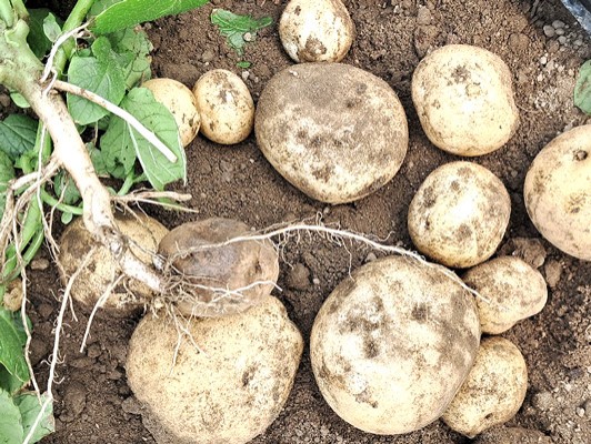 이미지 상세보기