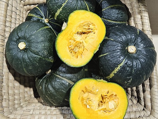 이미지 상세보기