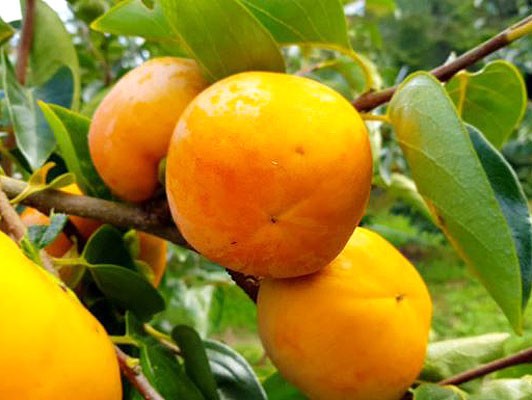 이미지 상세보기