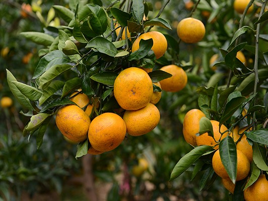 이미지 상세보기