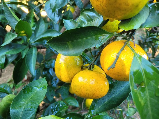 이미지 상세보기
