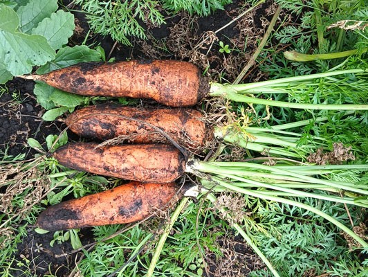 이미지 상세보기