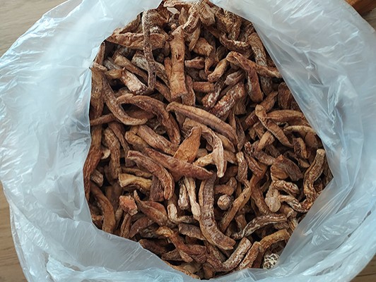 이미지 상세보기