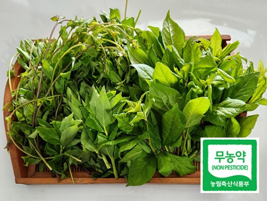 이미지 상세보기