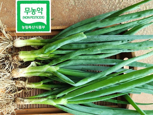 이미지 상세보기
