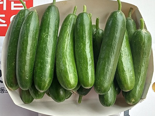 이미지 상세보기