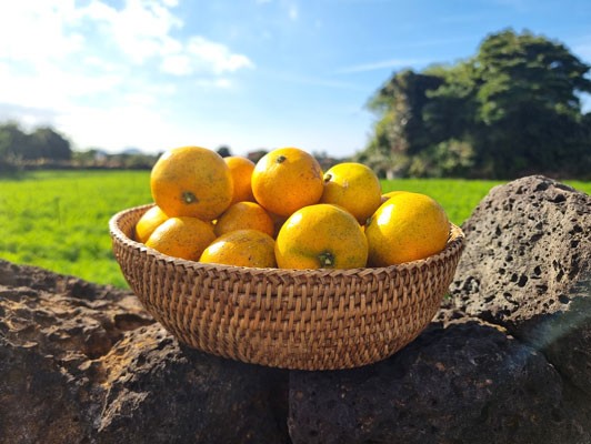 이미지 상세보기