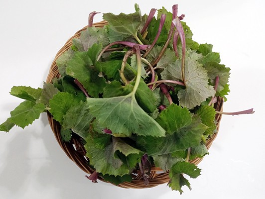 이미지 상세보기 이미지 상세보기