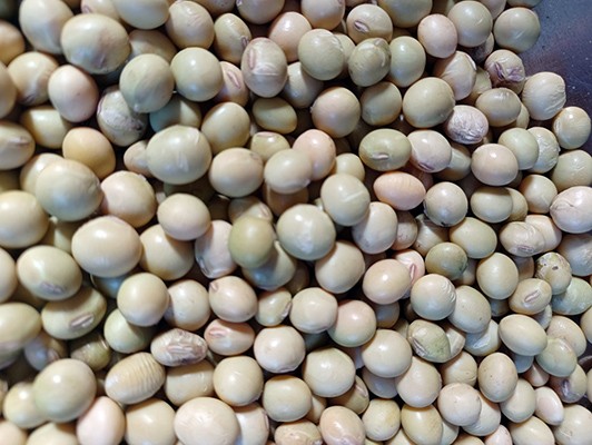 이미지 상세보기