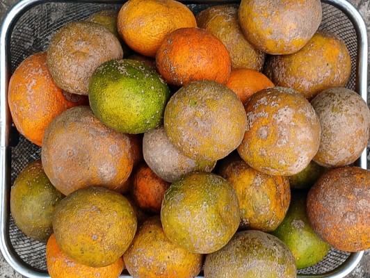 이미지 상세보기