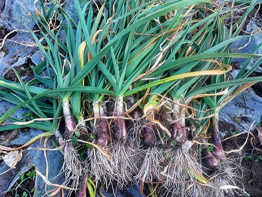 이미지 상세보기