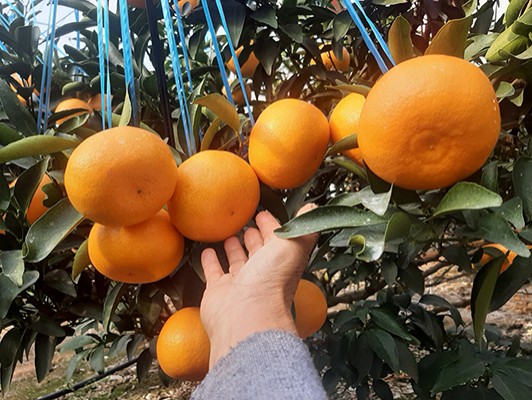 이미지 상세보기