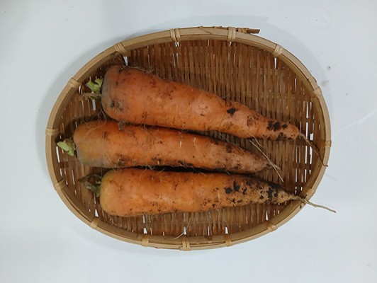 이미지 상세보기