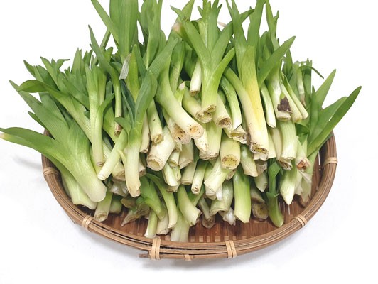 이미지 상세보기