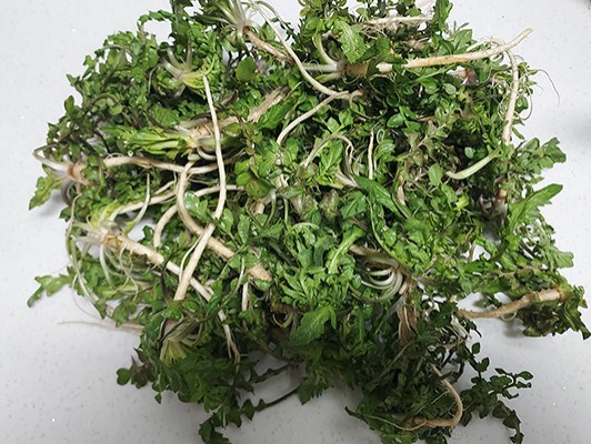 이미지 상세보기