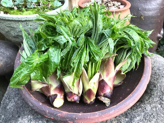 이미지 상세보기