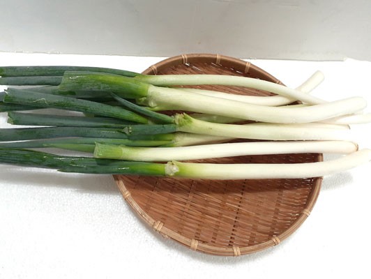 이미지 상세보기