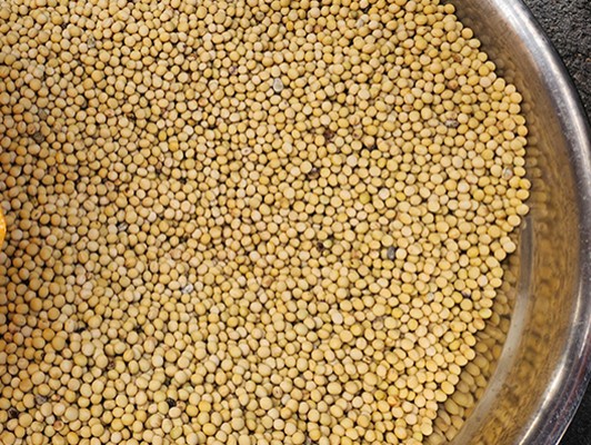 이미지 상세보기