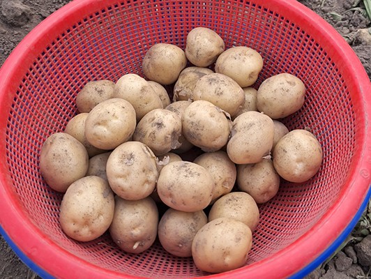 이미지 상세보기