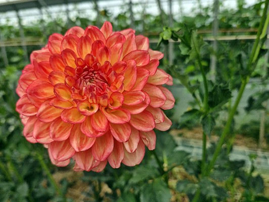 이미지 상세보기