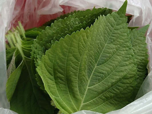 이미지 상세보기