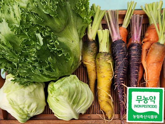 이미지 상세보기
