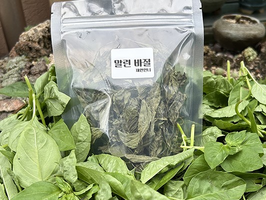 이미지 상세보기