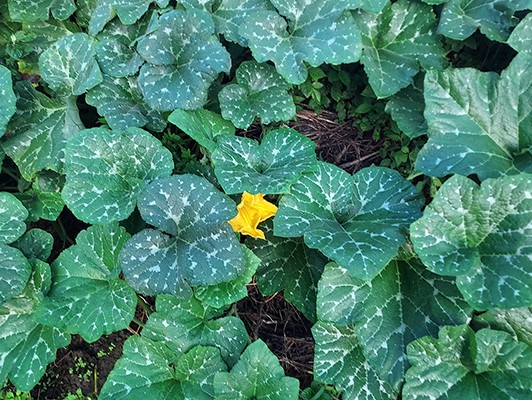 이미지 상세보기