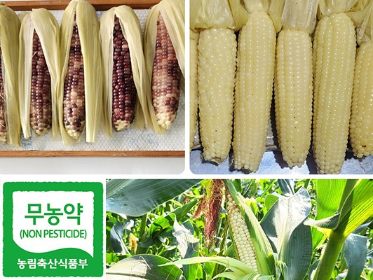 이미지 상세보기