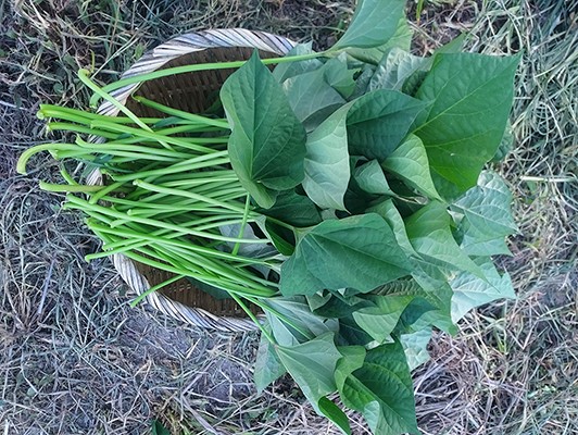 이미지 상세보기