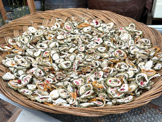 이미지 상세보기