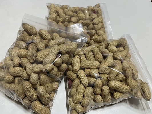 이미지 상세보기