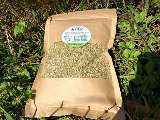 이미지 상세보기